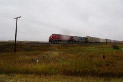 dsc06186