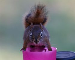 img_6379